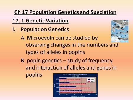 Ch 17 Population Genetics and Speciation 17. 1 Genetic Variation I.Population Genetics A. Microevoln can be studied by observing changes in the numbers.