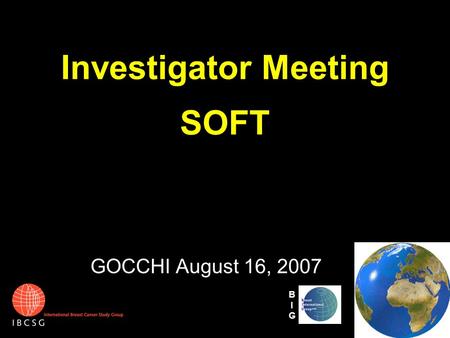 Investigator Meeting SOFT GOCCHI August 16, 2007 BIGBIG.