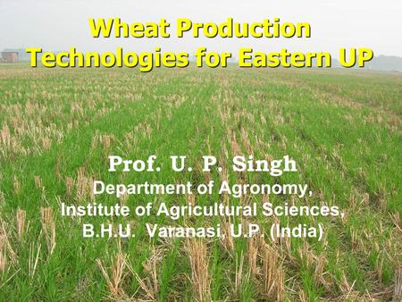 Prof. U. P. Singh Department of Agronomy, Institute of Agricultural Sciences, B.H.U. Varanasi, U.P. (India) Wheat Production Technologies for Eastern UP.