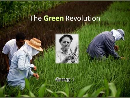 The transformation of agriculture that began in 1944, with the mission of greatly increasing food yields through technology and selective breeding. Was.