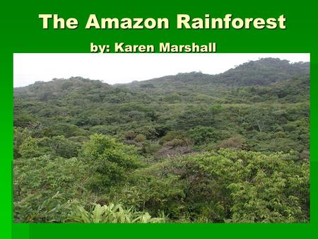 The Amazon Rainforest by: Karen Marshall The Amazon Rainforest by: Karen Marshall.
