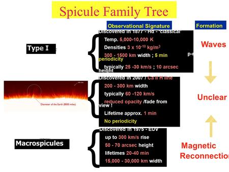 Spicule Family Tree Type I Type II Macrospicules Discovered in 2007 / Ca II H line 200 - 300 km width typically 60 -120 km/s reduced opacity /fade from.