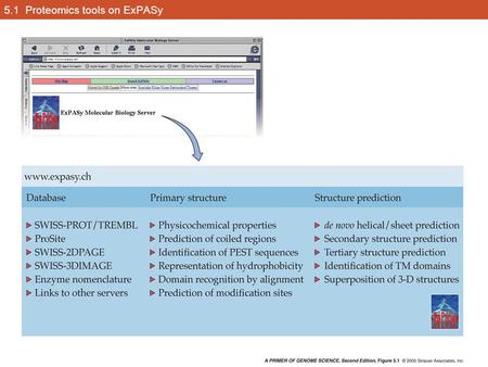5.1 Proteomics tools on ExPASy. 5.2 (Part 1) Primary, secondary, and tertiary protein structure.