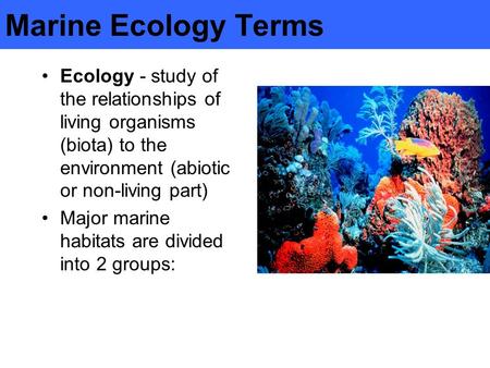 Marine Ecology Terms Ecology - study of the relationships of living organisms (biota) to the environment (abiotic or non-living part) Major marine habitats.