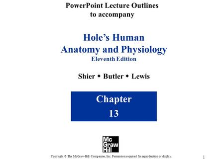 1 PowerPoint Lecture Outlines to accompany Hole’s Human Anatomy and Physiology Eleventh Edition Shier  Butler  Lewis Chapter 13 Copyright © The McGraw-Hill.