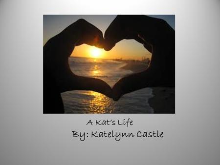 A Kat’s Life By: Katelynn Castle. TABLE OF CONTENTS CHAPTER 1 – MY NAME CHAPTER 2 – FREDRICK MANOR CHAPTER 3 – WONDERFUL BUBBLES CHAPTER 4 – IM GROWNING.