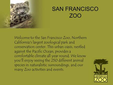 Welcome to the San Francisco Zoo, Northern California's largest zoological park and conservation center. This urban oasis, nestled against the Pacific.