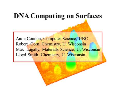 DNA Computing on Surfaces