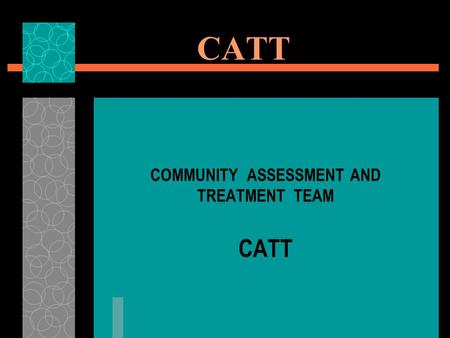CATT COMMUNITY ASSESSMENT AND TREATMENT TEAM CATT.
