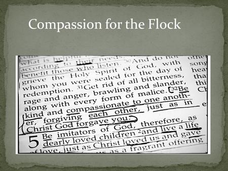 Compassion for the Flock. And do not grieve the Holy Spirit of God, by whom you were sealed for the day of redemption. Let all bitterness and wrath and.
