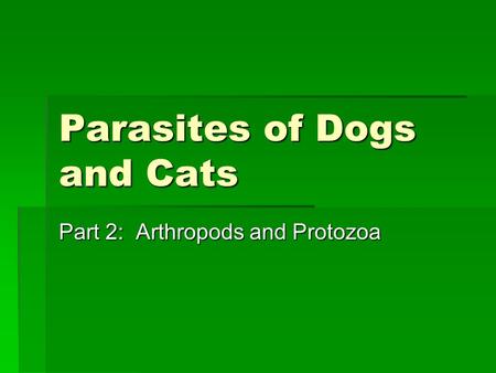 Parasites of Dogs and Cats Part 2: Arthropods and Protozoa.