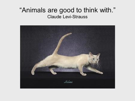 “Animals are good to think with.” Claude Levi-Strauss