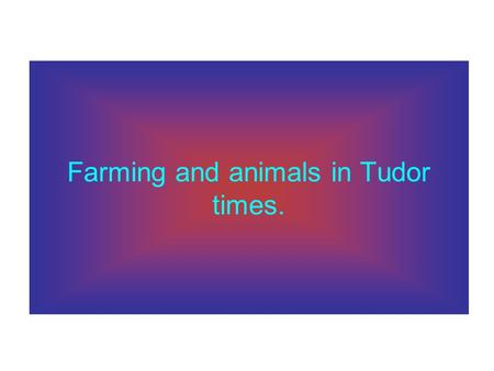 Farming and animals in Tudor times.