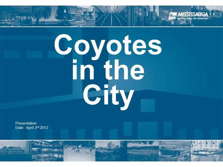 Presentation Date: April 3 rd 2012 Coyotes in the City.