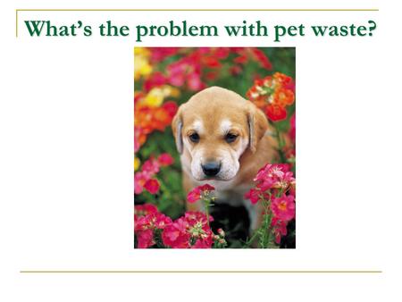 What’s the problem with pet waste?.  It’s a health risk to pets and people, especially children.  Pet waste is full of bacteria that can make people.