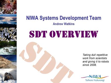 SDT NIWA Systems Development Team Andrew Watkins SDT Overview Taking dull repetitive work from scientists and giving it to robots since 2008.