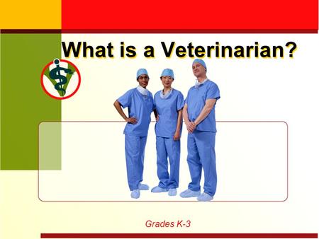 What is a Veterinarian? Grades K-3. Birds Dogs Cats Fish Pets.