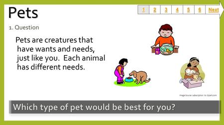 Which type of pet would be best for you?