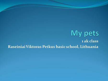1 ak class Raseiniai Viktoras Petkus basic school, Lithuania.