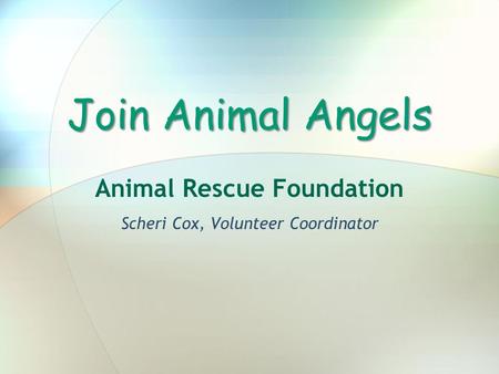 Join Animal Angels Animal Rescue Foundation Scheri Cox, Volunteer Coordinator.