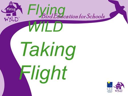 Flying WILD Bird Education for Schools Taking Flight.