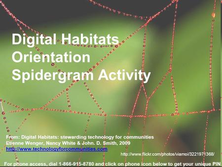 Digital Habitats Orientation Spidergram Activity