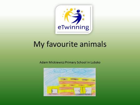 My favourite animals Adam Mickiewicz Primary School in Lubsko.