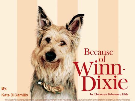 By: Kate DiCamillo. Book Report By: Rachel Collins.