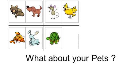 What about your Pets ?.