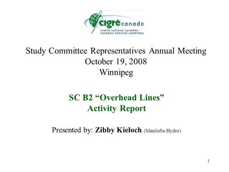 1 Study Committee Representatives Annual Meeting October 19, 2008 Winnipeg SC B2 “Overhead Lines” Activity Report Presented by: Zibby Kieloch (Manitoba.