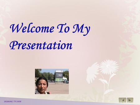 Welcome To My Presentation