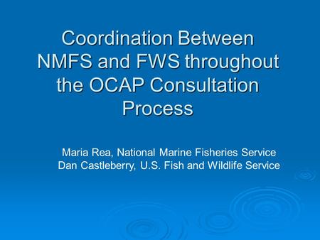 Coordination Between NMFS and FWS throughout the OCAP Consultation Process Maria Rea, National Marine Fisheries Service Dan Castleberry, U.S. Fish and.