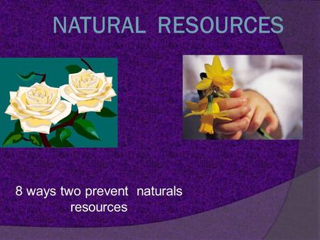 8 ways two prevent naturals resources