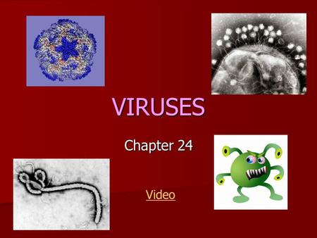 VIRUSES Chapter 24 Video.