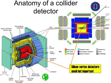 Anatomy of a collider detector Silicon vertex detectors- small but important.