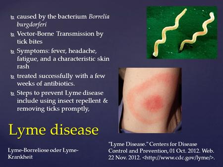 Lyme disease caused by the bacterium Borrelia burgdorferi