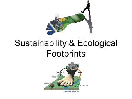 Sustainability & Ecological Footprints. Ecological Footprint The land and water area that is needed to support the material standard of living of a given.