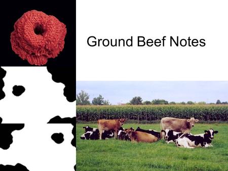 Ground Beef Notes. Meat labeled “hamburger meat” is allowed to have fat added. Ground beef only contains the fat that is there naturally. What is the.