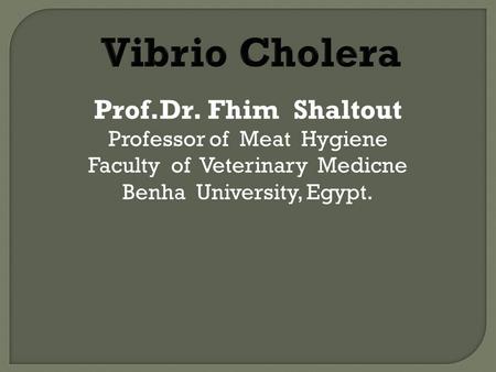 Vibrio Cholera Prof.Dr. Fhim Shaltout Professor of Meat Hygiene
