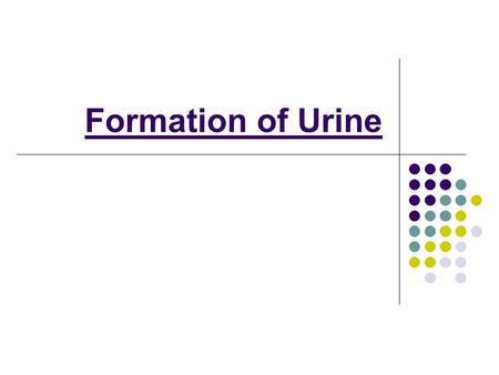 Formation of Urine.