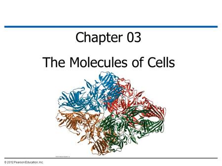 Chapter 03 The Molecules of Cells © 2012 Pearson Education, Inc. 1.