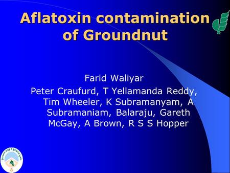 Aflatoxin contamination of Groundnut Farid Waliyar Peter Craufurd, T Yellamanda Reddy, Tim Wheeler, K Subramanyam, A Subramaniam, Balaraju, Gareth McGay,