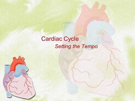 Cardiac Cycle Setting the Tempo. Cardiac Cycle – Overview Events of each heartbeat –Highly coordinated so that both atria contract together and then both.