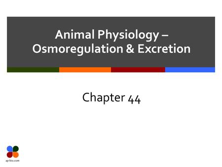 Animal Physiology – Osmoregulation & Excretion