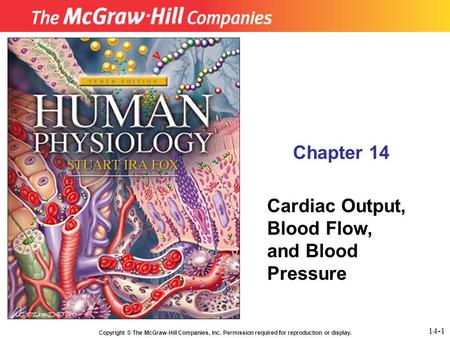 Chapter 14 Cardiac Output, Blood Flow, and Blood Pressure 14-1.