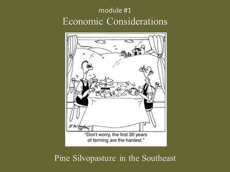 Module #1 Economic Considerations Pine Silvopasture in the Southeast.