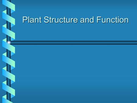 Plant Structure and Function. Is It a Stem, Leaf, Root, Flower, Fruit or Seed? Fruit/Vegetable Part of Plant Broccoli Cabbage Carrot Celery Stalk Corn.
