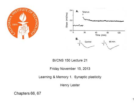 Learning & Memory 1. Synaptic plasticity