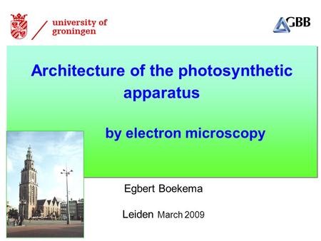 Architecture of the photosynthetic apparatus by electron microscopy Architecture of the photosynthetic apparatus by electron microscopy Egbert Boekema.