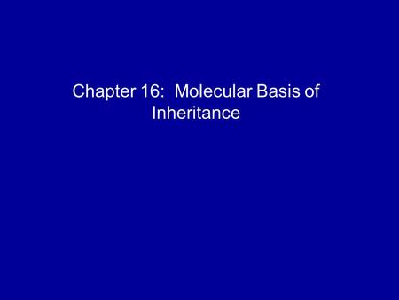 Chapter 16: Molecular Basis of Inheritance. DNA is the genetic material Early in the 20th century, the identification of the molecules of inheritance.